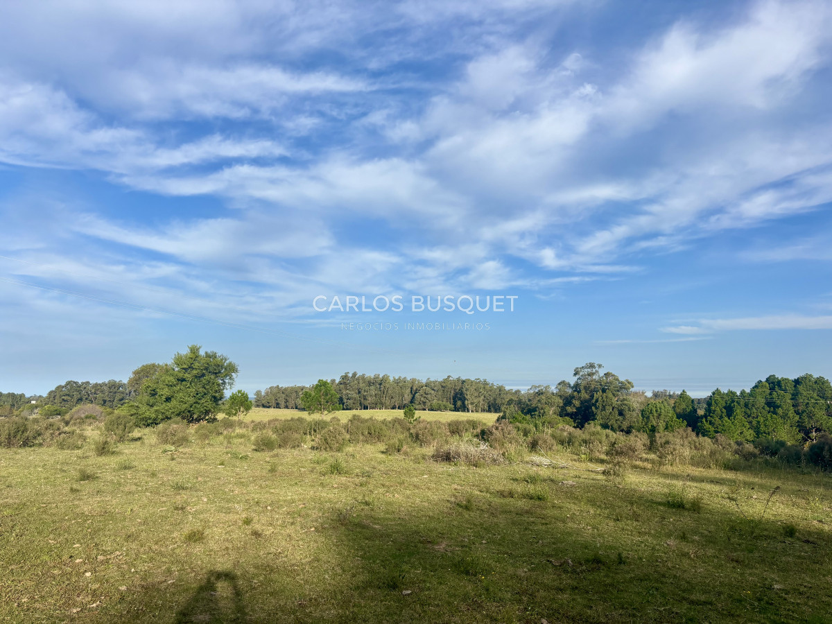 Chacra ID.1044 - Chacra en venta de 8 has. sobre Ruta 104