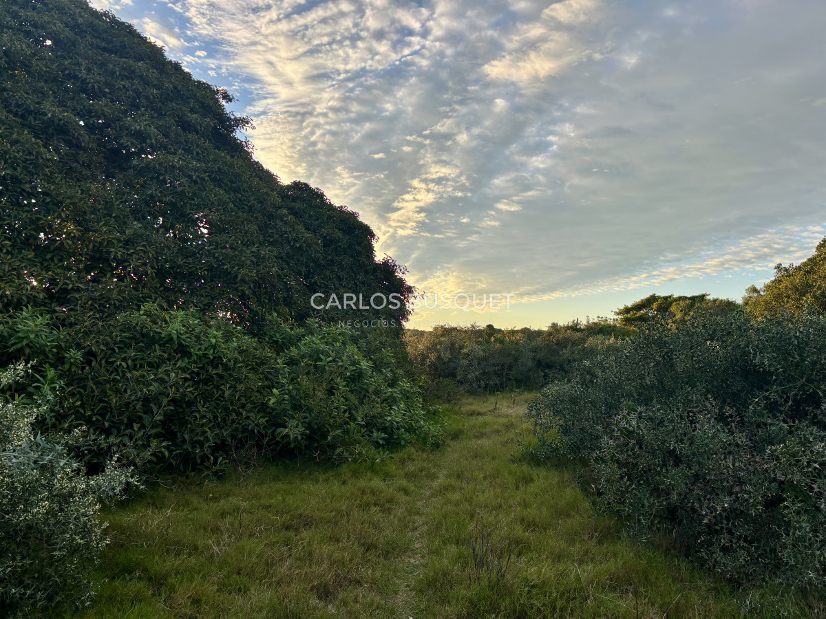 Chacra ID.1047 - Chacra de 7 has. en Venta en zona Chacras de Medellin Sur Lac