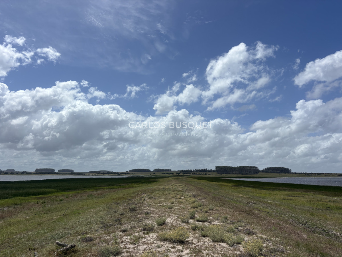 Chacra ID.1522 - Campo de 42 has. con costa de Laguna Garzón 