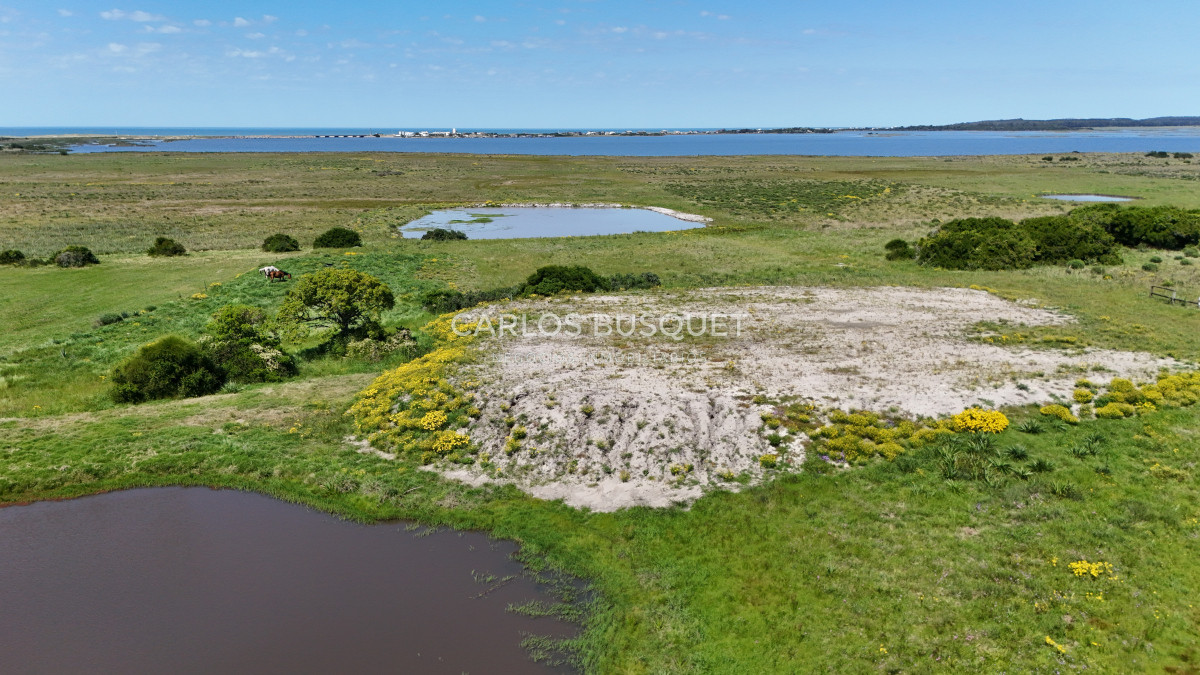 Chacra ID.531 - Chacra en venta de 5 has con costa de Laguna - Jose Ignacio 