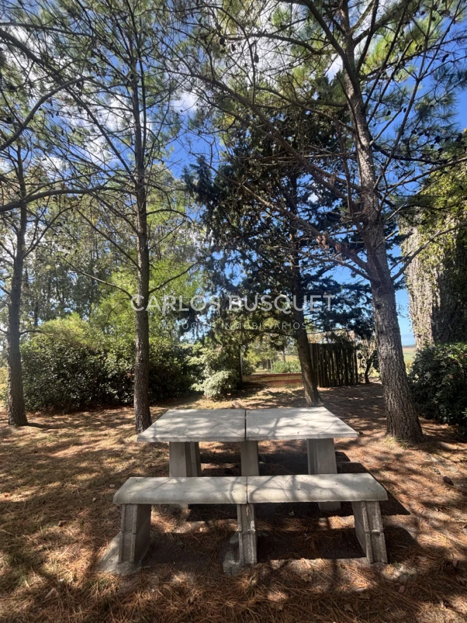 Chacra ID.1587 - Venta Chacra de 5 hectáreas con casa en Camino Medellin 