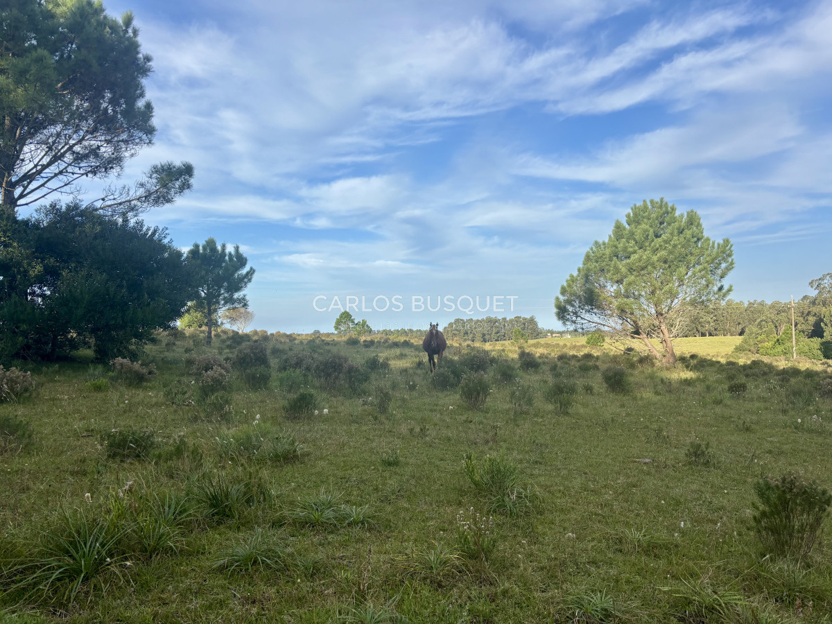 Chacra ID.1044 - Chacra en venta de 8 has. sobre Ruta 104