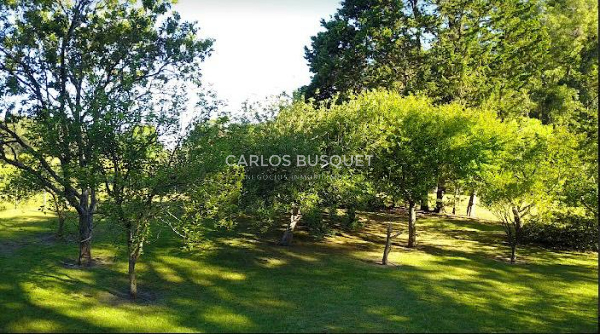 Chacra ID.496 - Chacra en venta de 5 has. en Punta Ballena, Camino Lussich 