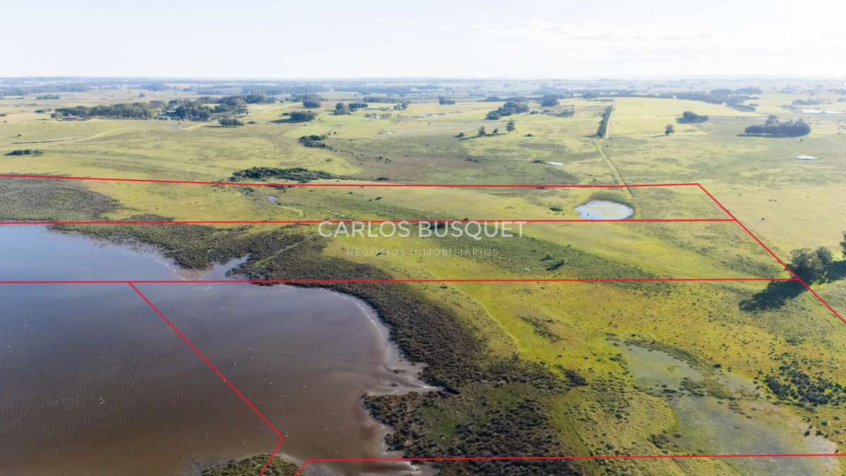 Chacra ID.1654 - Venta Chacra de 30 has. con Costa de Laguna de Jose Ignacio 