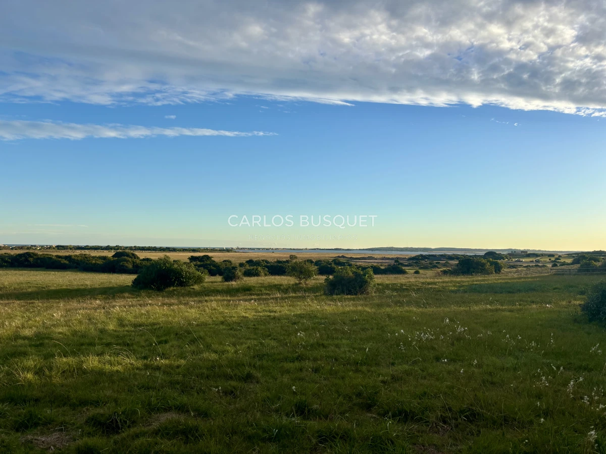 Chacra ID.1047 - Chacra de 7 has. en Venta en José Ignacio 
