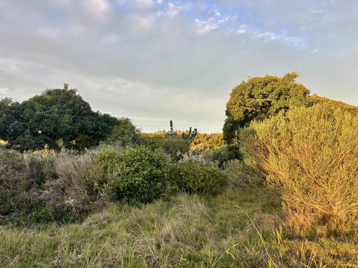 Chacra ID.1047 - Chacra de 7 has. en Venta en José Ignacio 