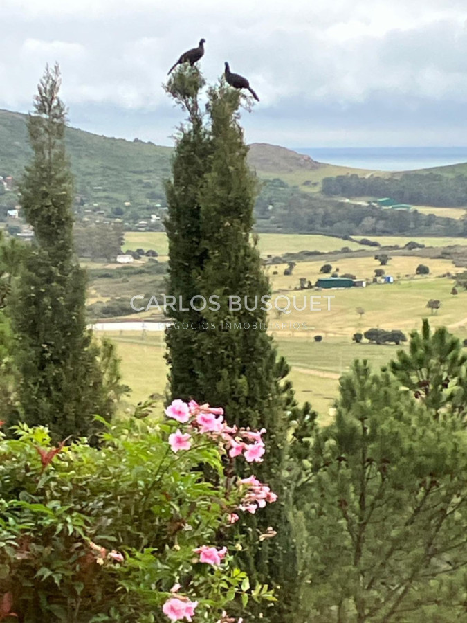 Chacra ID.1667 - Chacras del Cerro - chacras en venta de 5 has. en Pan de Azucar