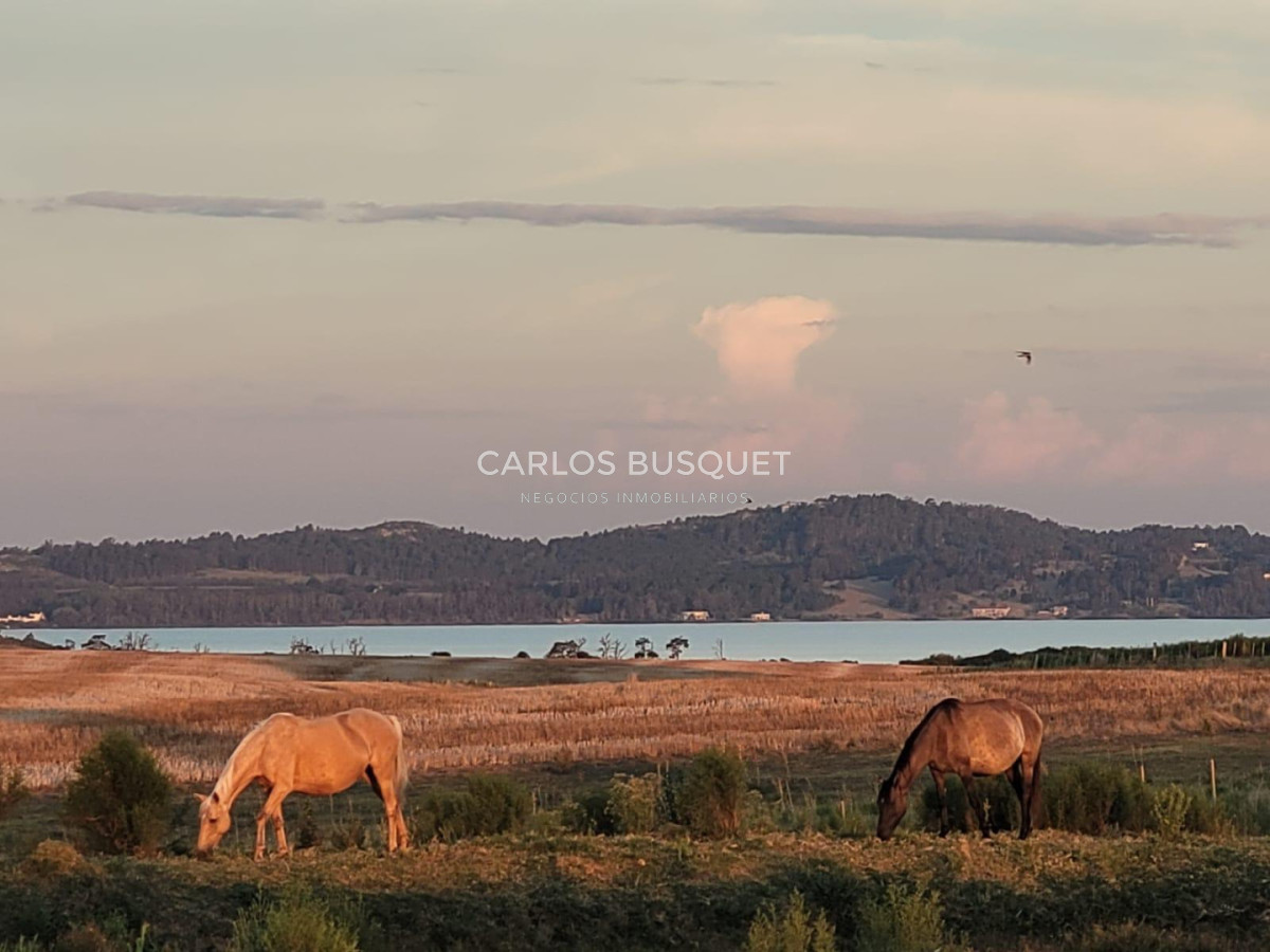 Chacra ID.1668 - Chacra de 5 has. con vista a Laguna del Sauce 
