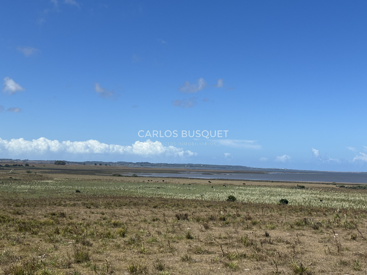 Chacra ID.1552 - Venta campo de 26 hectáreas, en José Ignacio con vista a la Laguna