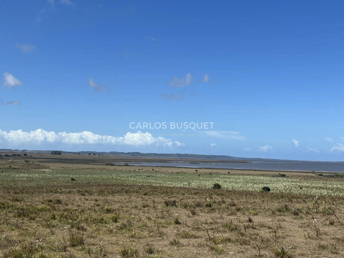 Chacra ID.1552 - Venta chacra de 30 hectáreas, en José Ignacio con costa de Laguna