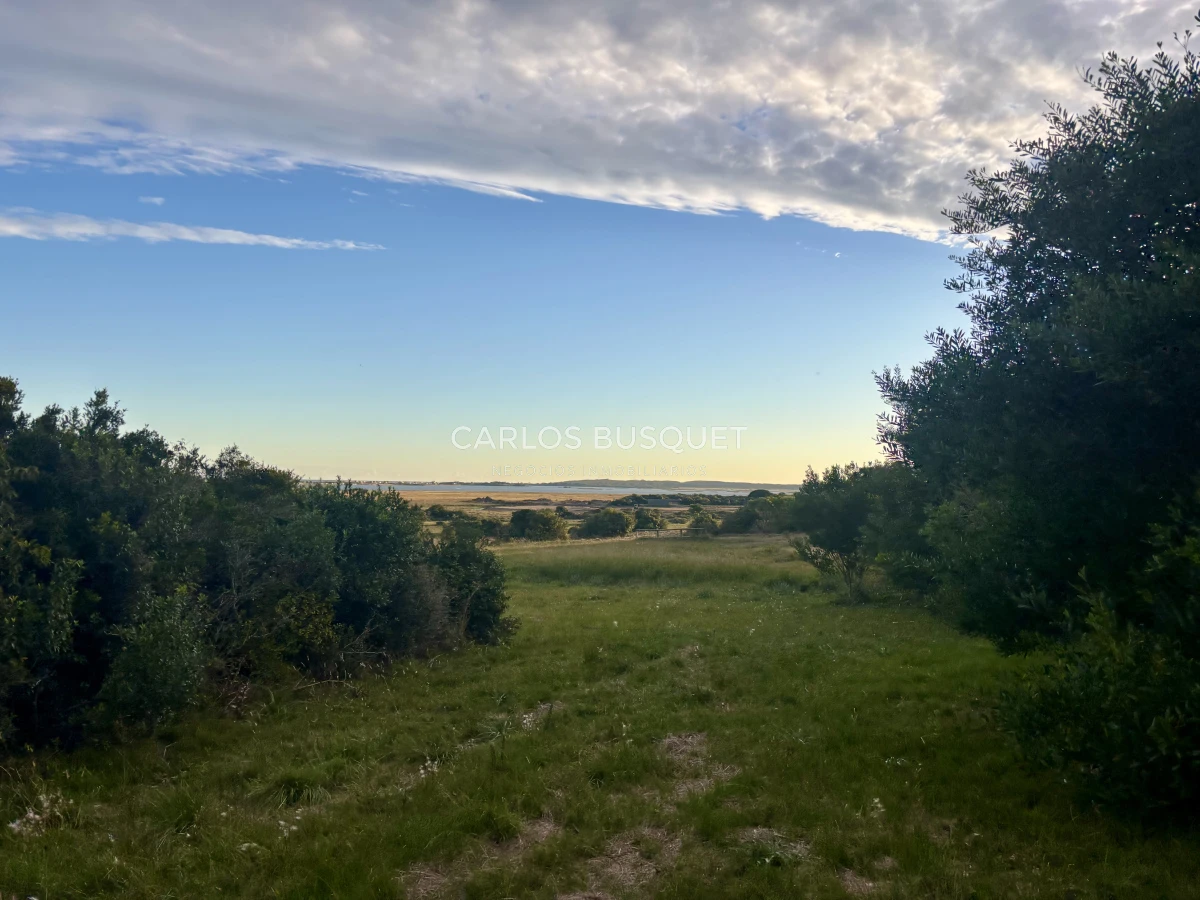 Chacra ID.1047 - Chacra de 7 has. en Venta en José Ignacio 