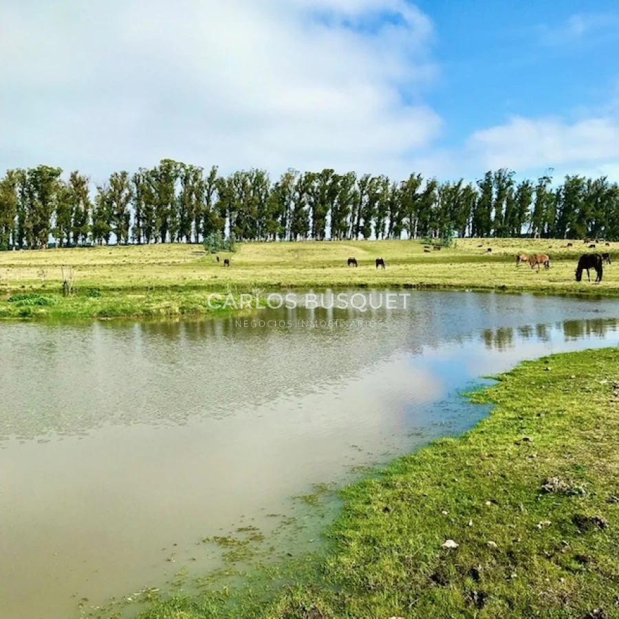 Chacra ID.16 - Chacra de 5 has. en venta en Jose Ignacio, con costa de laguna 
