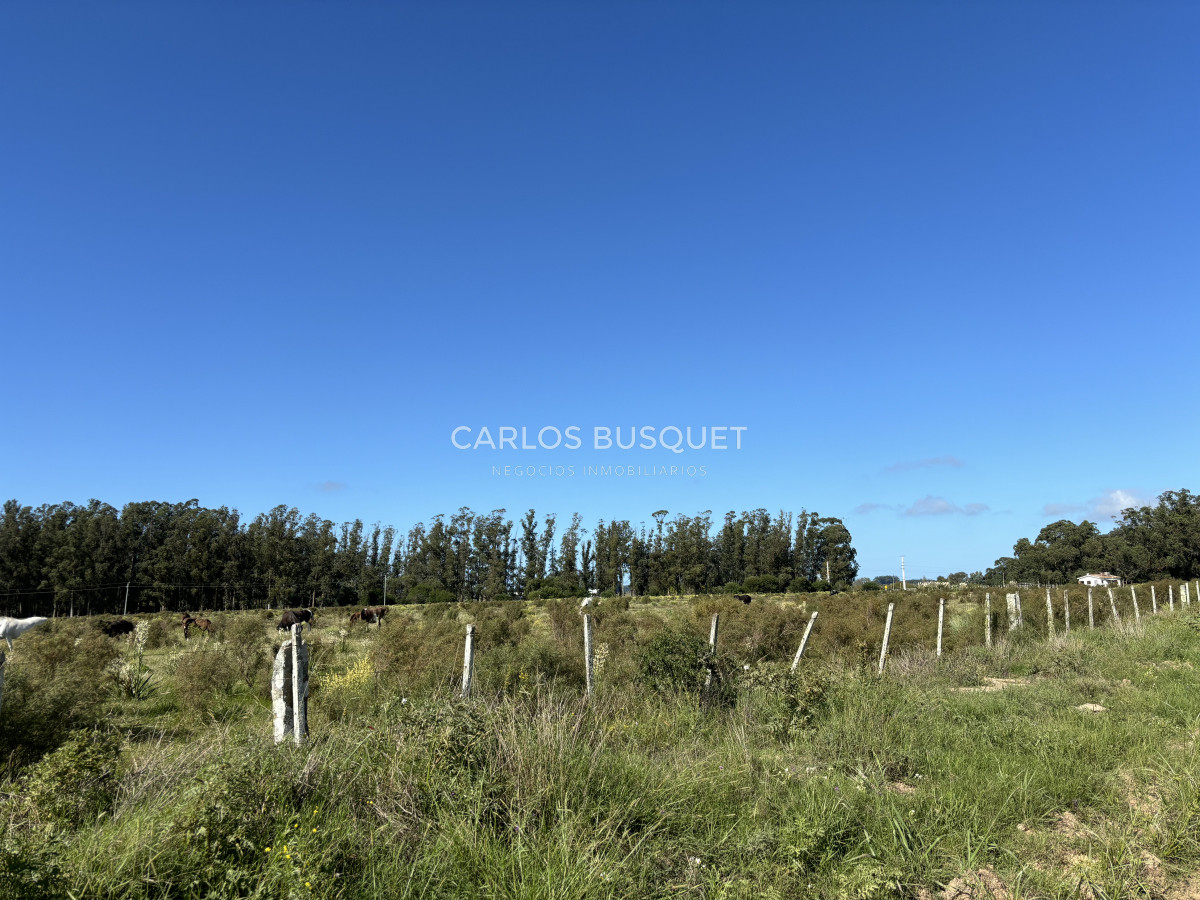 Chacra ID.1097 - Chacra de 6.6 has en Camino Medellin