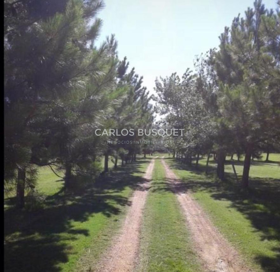Chacra ID.700 - Chacra en venta de 5 has. con casa en Manantiales, Ruta 104
