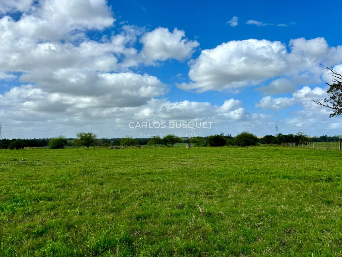 Chacra ID.513 - Chacra de 5 has. en venta sobre ruta 104 