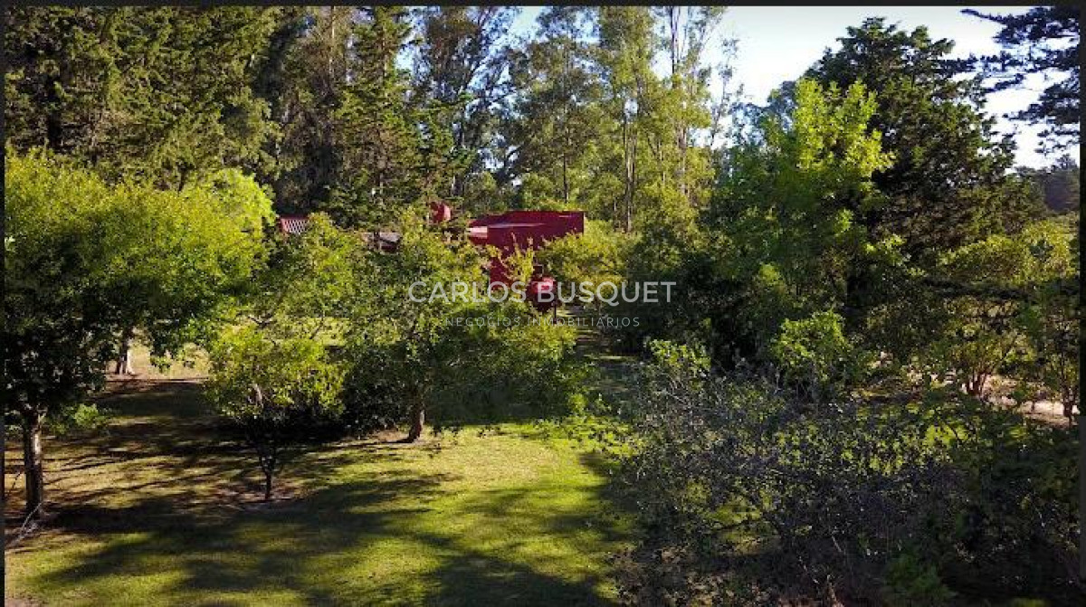 Chacra ID.496 - Chacra en venta de 5 has. en Punta Ballena, Camino Lussich 