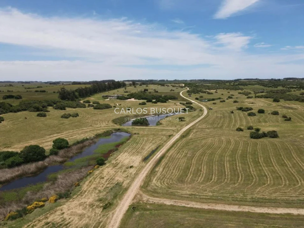 Chacra ID.1403 - Chacra en venta Jose Ignacio Las Coronillas