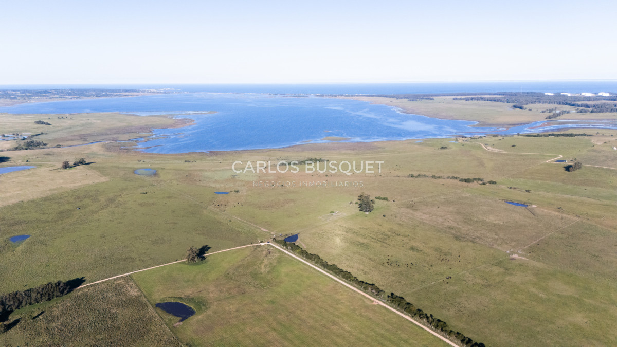 Chacra ID.1552 - Venta campo de 26 hectáreas, en José Ignacio con vista a la Laguna