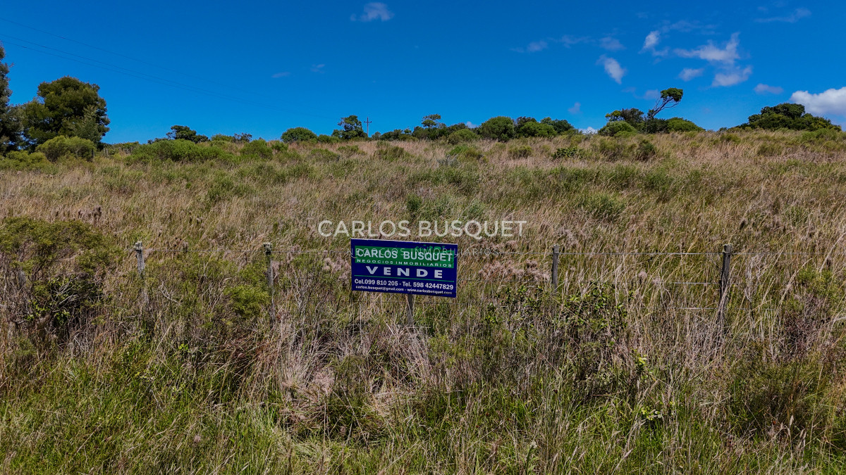 Chacra ID.899 - Chacra de 5 has. en venta en Jose Ignacio