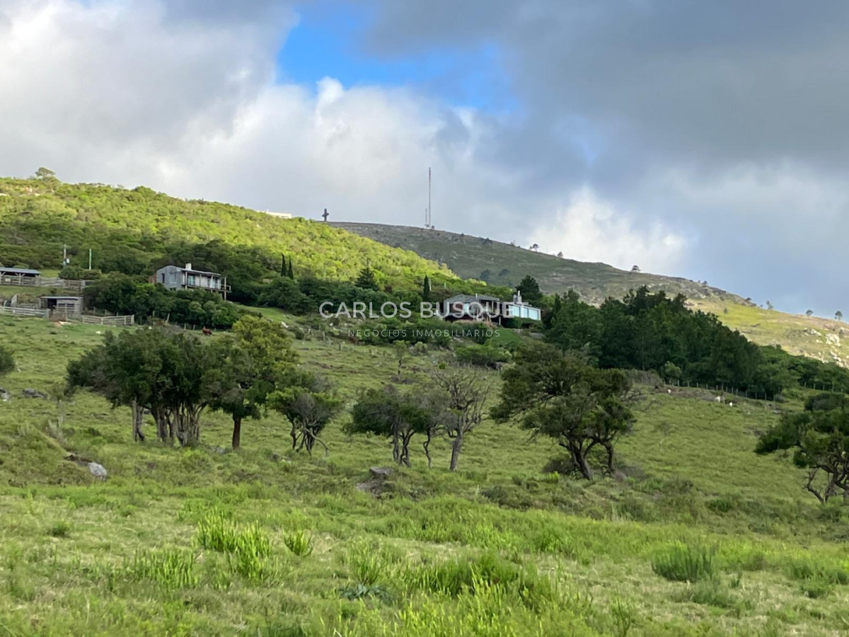 Chacra ID.1667 - Chacras del Cerro - chacras en venta de 5 has. en Pan de Azucar