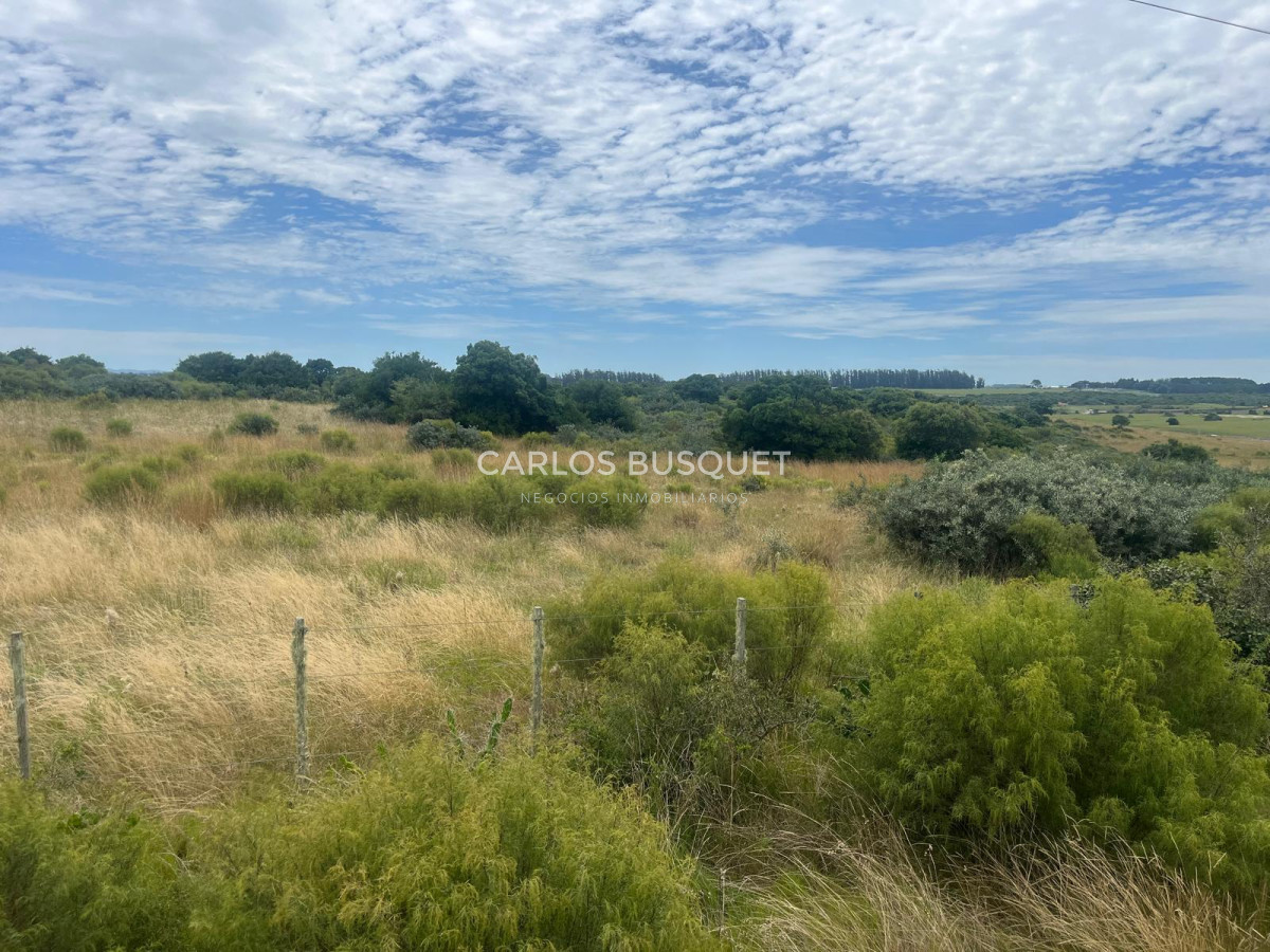 Chacra ID.899 - Chacra de 5 has. en venta en Jose Ignacio