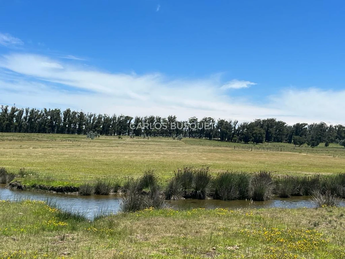 Chacra ID.16 - Chacra de 5 has. en venta en Jose Ignacio, con costa de laguna 