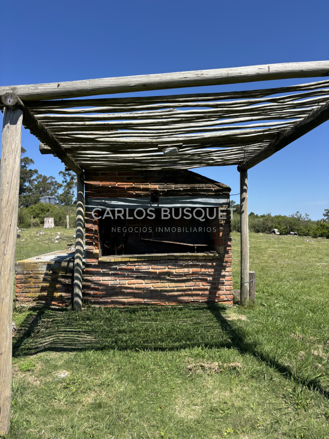Chacra ID.1406 - Chacra en alquiler temporal de 4 dormitorios en La Barra