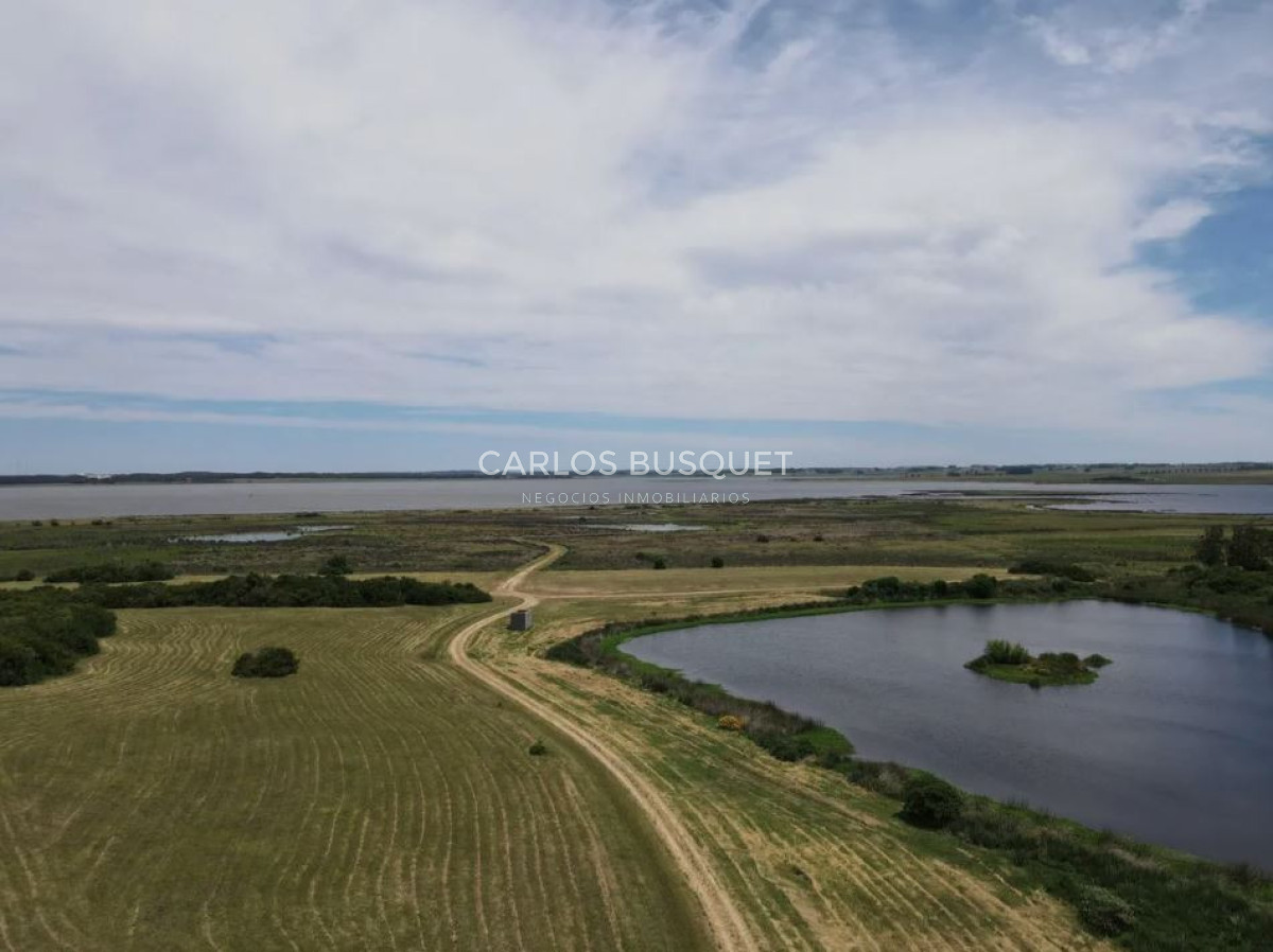 Chacra ID.1403 - Chacra en venta de 5 has. en Jose Ignacio Las Coronillas