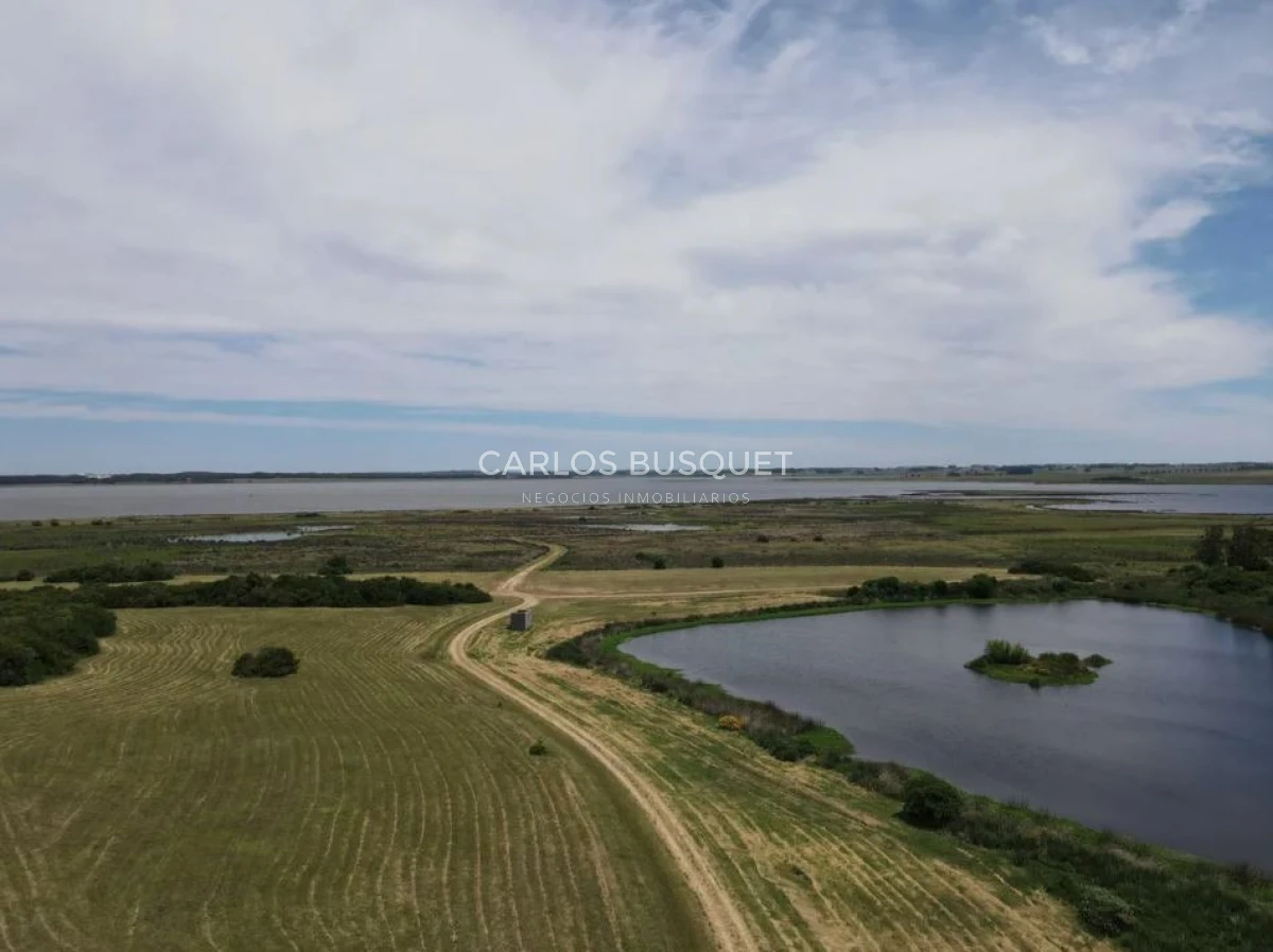 Chacra ID.1403 - Chacra en venta Jose Ignacio Las Coronillas