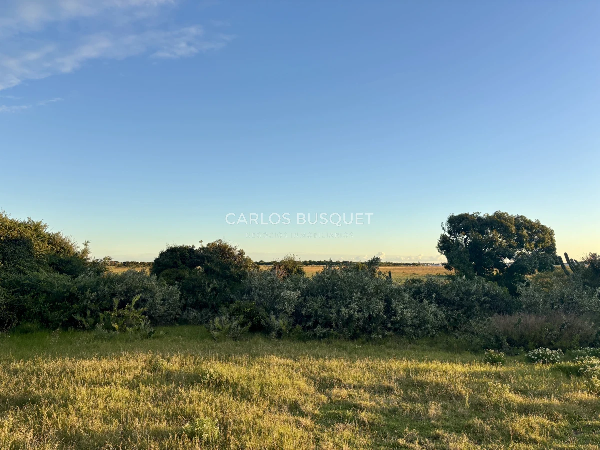 Chacra ID.1047 - Chacra de 7 has. en Venta en José Ignacio 