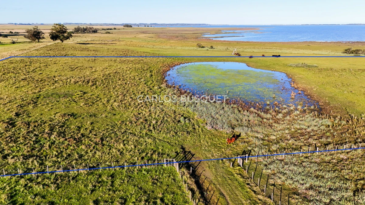 Chacra ID.1654 - Venta Chacra de 30 has. con Costa de Laguna de Jose Ignacio 