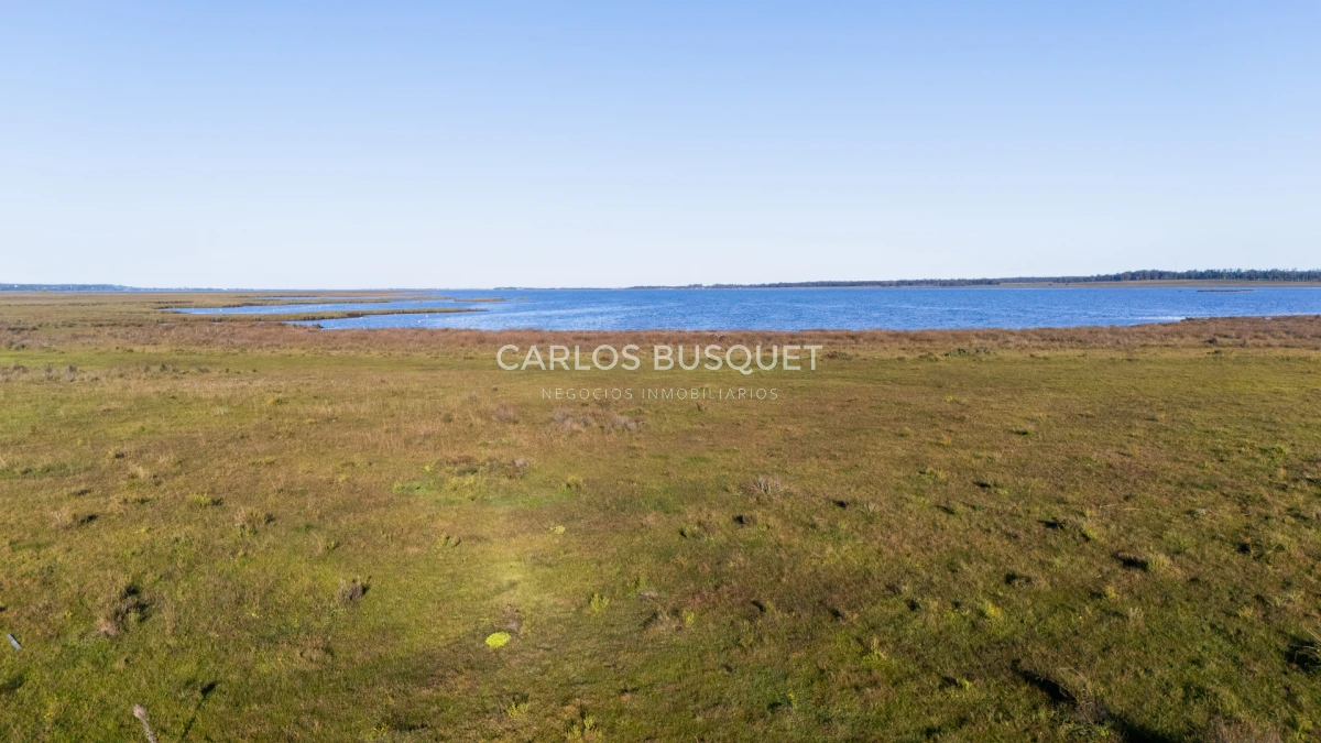 Chacra ID.1654 - Venta Chacra de 30 has. con Costa de Laguna de Jose Ignacio 