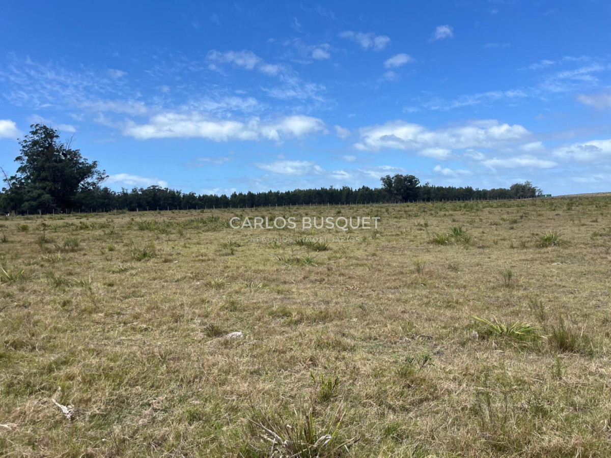 Chacra ID.1548 - Chacra de 5 has. en venta en Camino Medellin