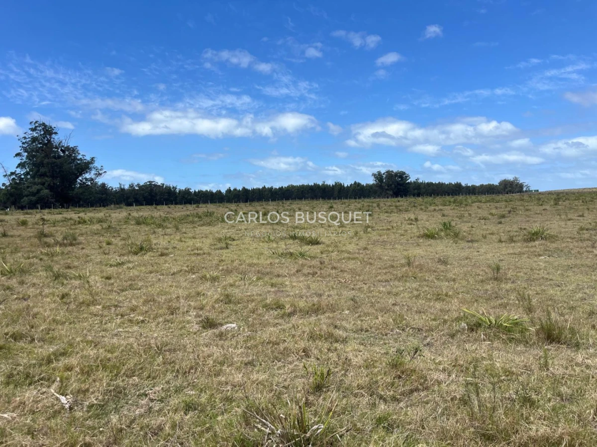 Chacra ID.1548 - Chacra de 5 has. en venta en Camino Medellin