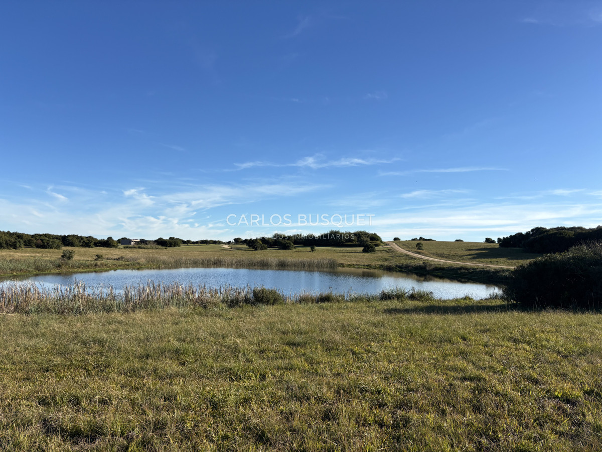 Chacra ID.1128 - Chacra de 5 has. en Jose Ignacio, Las Coronillas 