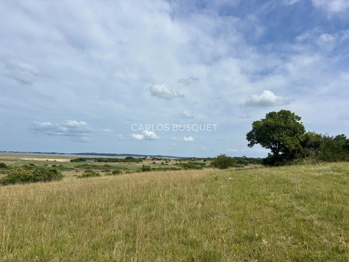 Chacra ID.1533 - Venta Chacra de 24 hectáreas en Jose Ignacio, con costa de Laguna