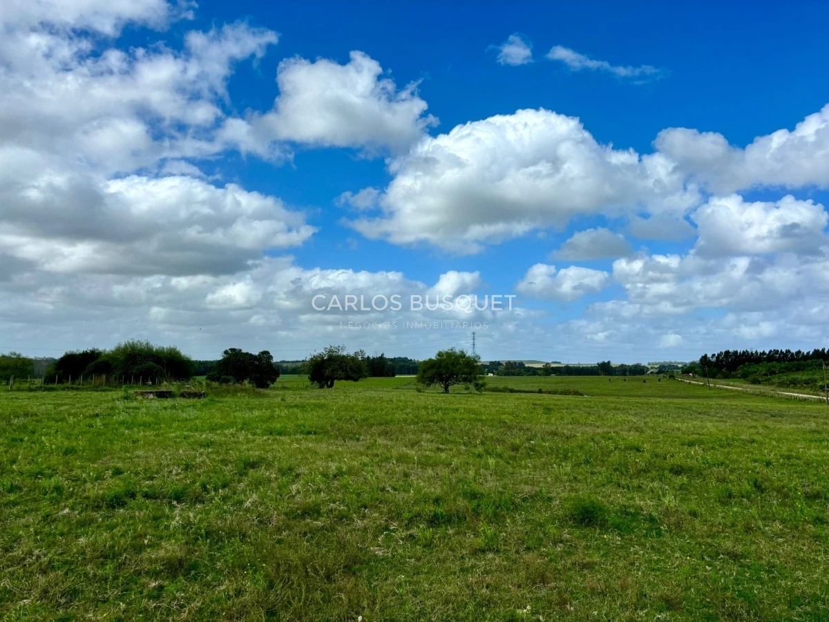 Chacra ID.513 - Chacra de 5 has. en venta sobre ruta 104 
