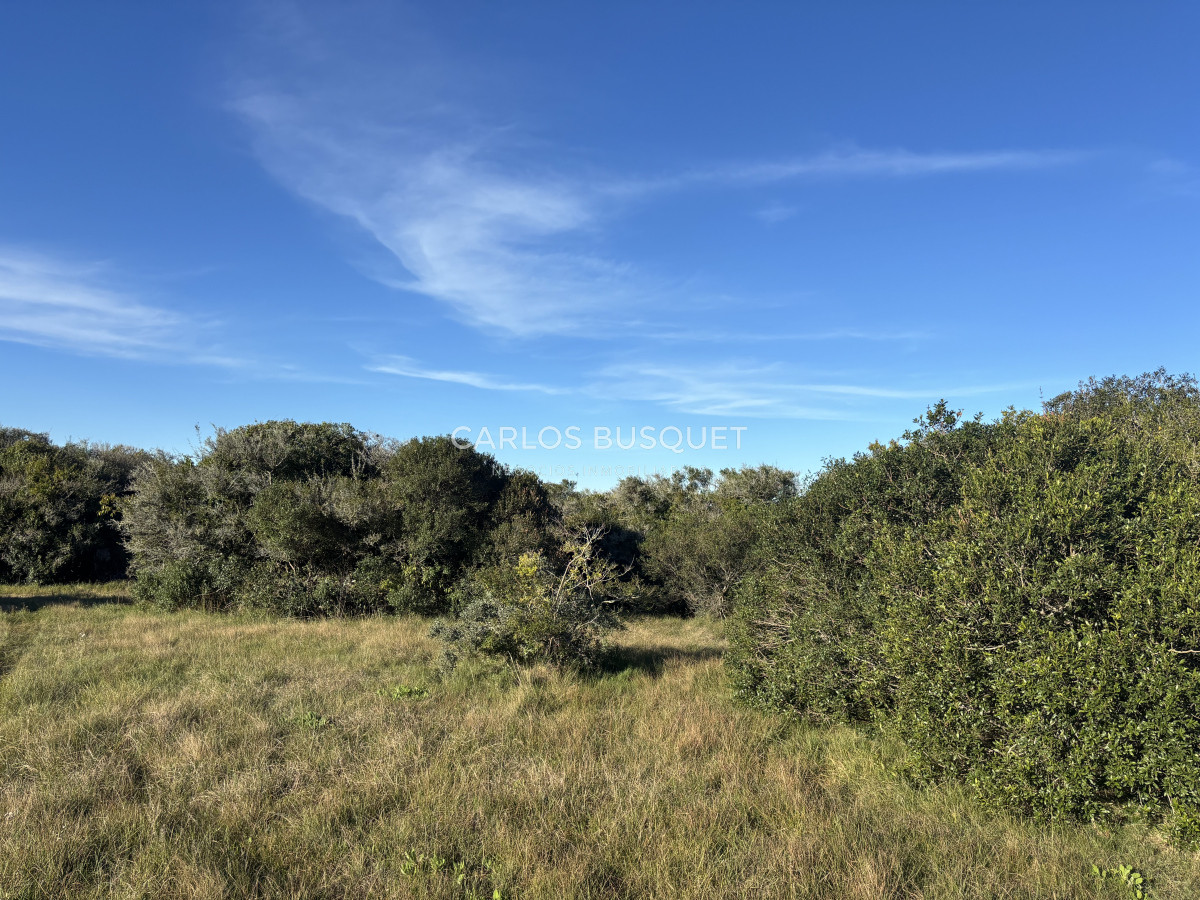 Chacra ID.1128 - Chacra de 5 has. en Jose Ignacio, Las Coronillas 