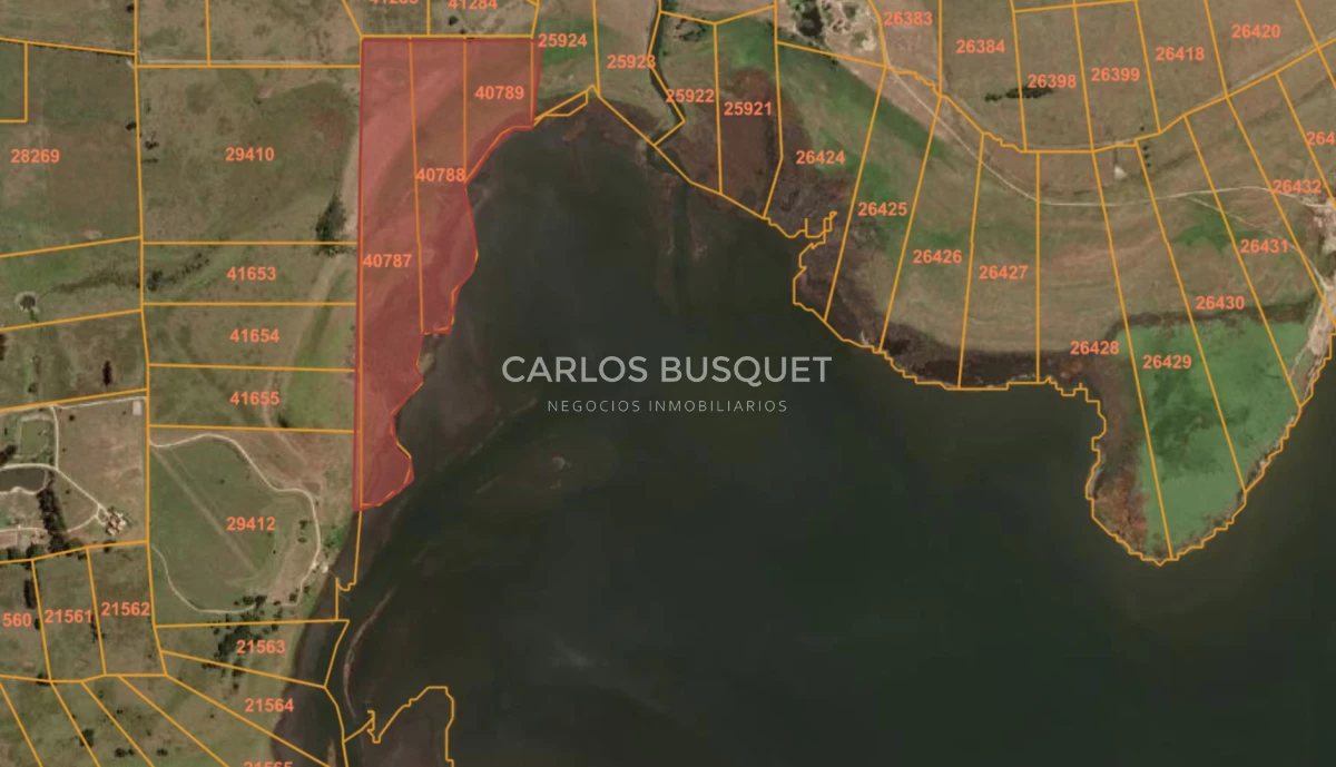Chacra ID.1654 - Venta Chacra de 30 has. con Costa de Laguna de Jose Ignacio 