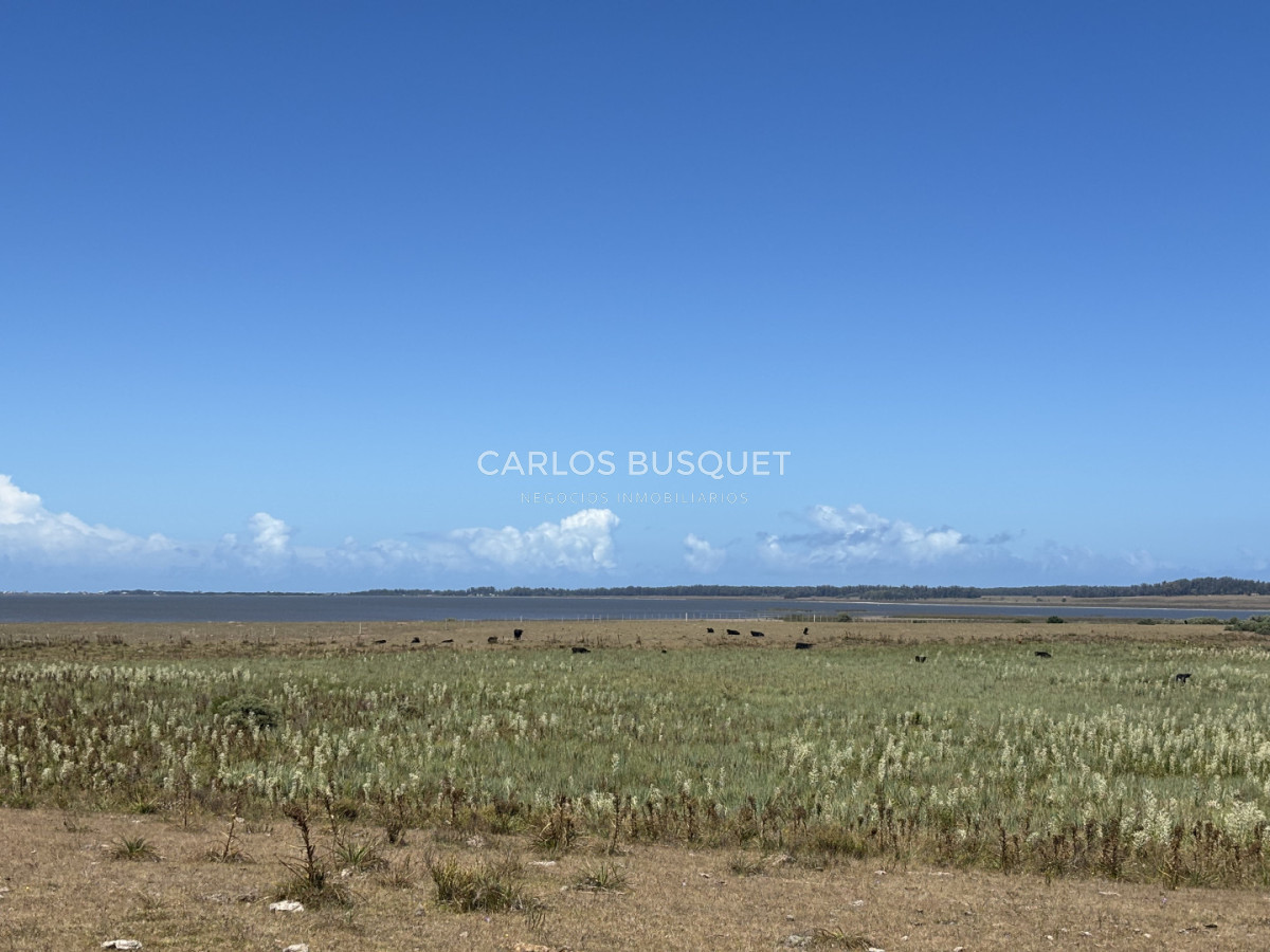 Chacra ID.1552 - Venta campo de 26 hectáreas, en José Ignacio con vista a la Laguna