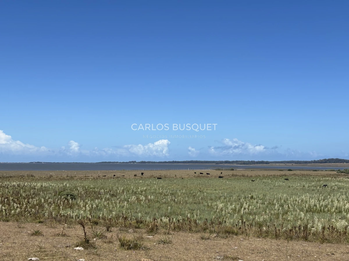 Chacra ID.1552 - Venta chacra de 30 hectáreas, en José Ignacio con costa de Laguna