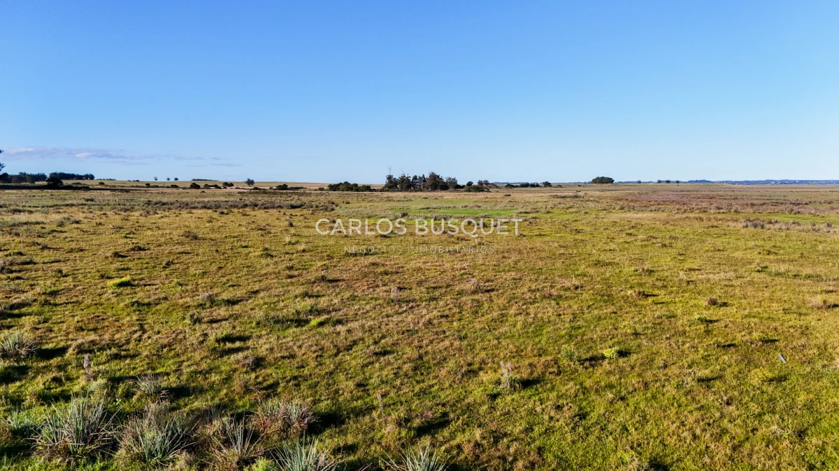 Chacra ID.1654 - Venta Chacra de 30 has. con Costa de Laguna de Jose Ignacio 