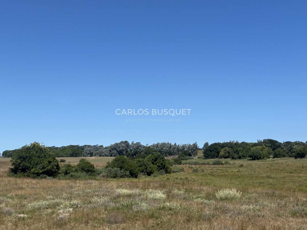 Chacra ID.1522 - Campo de 42 has. con costa de Laguna Garzón 