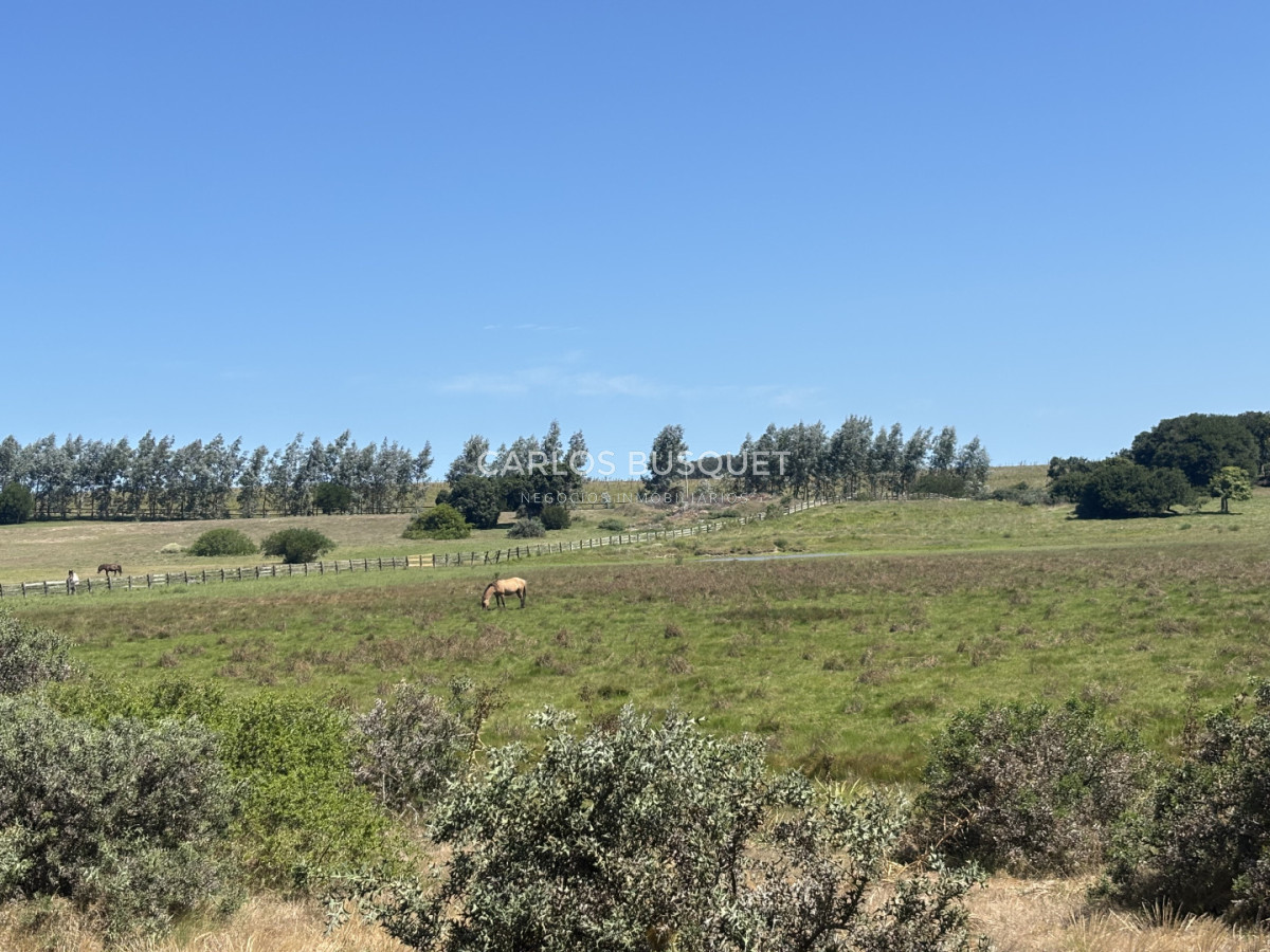 Chacra ID.1522 - Campo de 42 has. con costa de Laguna Garzón 
