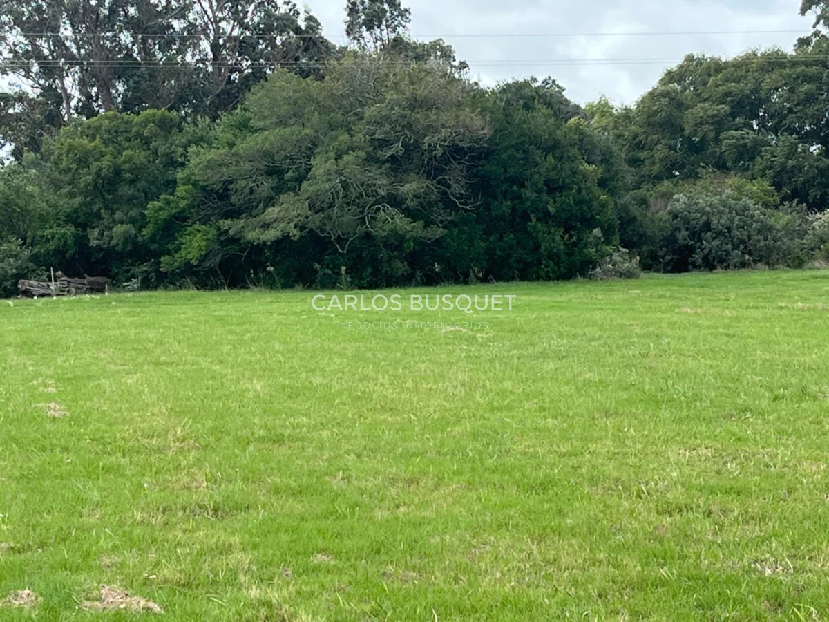 Chacra ID.1319 - Venta chacra de 5 hectáreas en Camino Medellin , parquizada. 