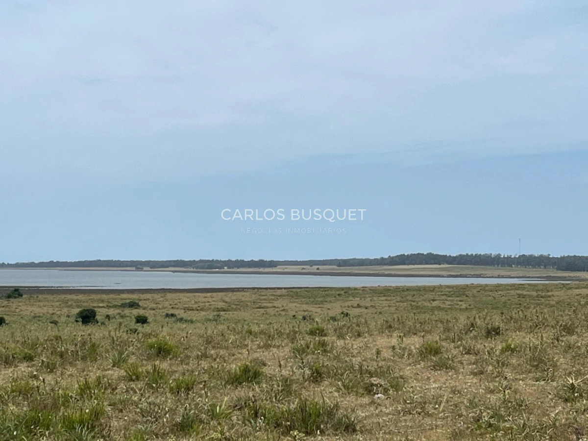 Chacra ID.1552 - Venta chacra de 30 hectáreas, en José Ignacio con costa de Laguna