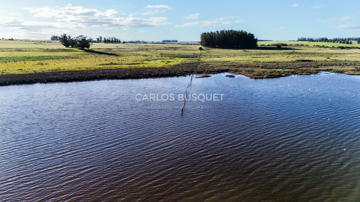 Chacra ID.1654 - Venta Chacra de 30 has. con Costa de Laguna de Jose Ignacio 