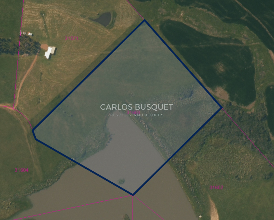 Chacra ID.1668 - Chacra de 5 has. con vista a Laguna del Sauce 