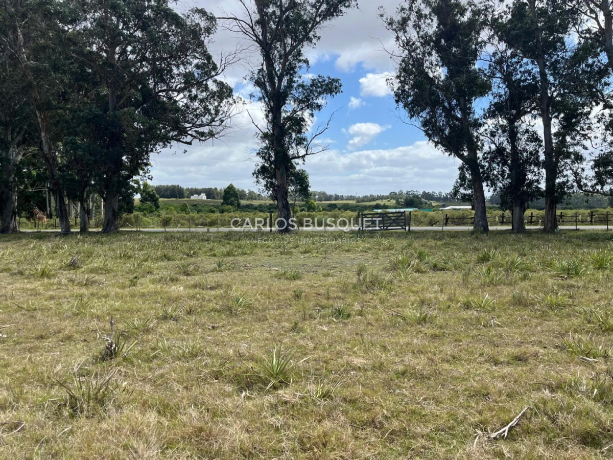 Chacra ID.1548 - Chacra de 5 has. en venta en Camino Medellin