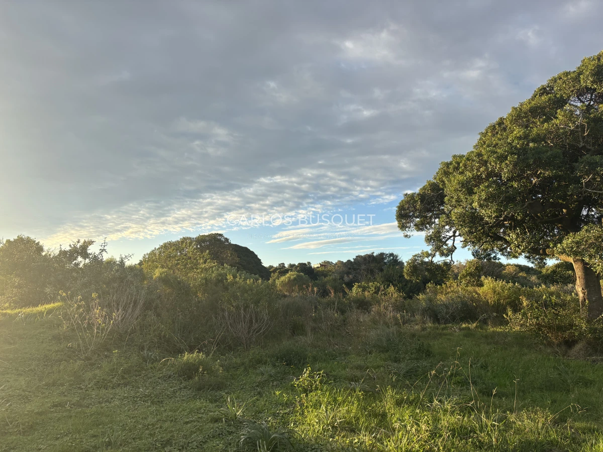 Chacra ID.1047 - Chacra de 7 has. en Venta en José Ignacio 
